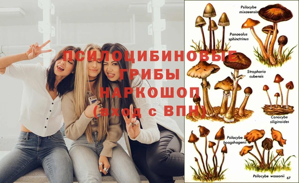 каннабис Медвежьегорск