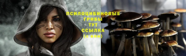 a pvp Медногорск