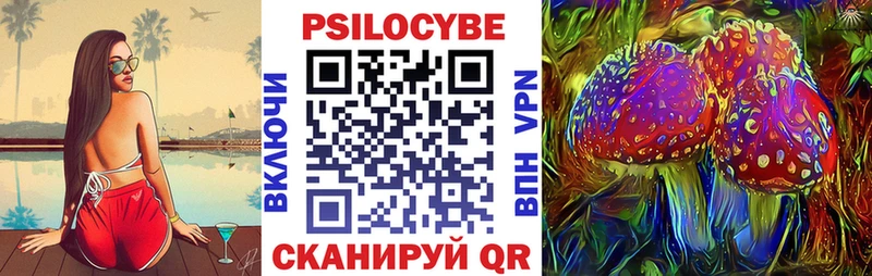 Псилоцибиновые грибы Cubensis  Шали 