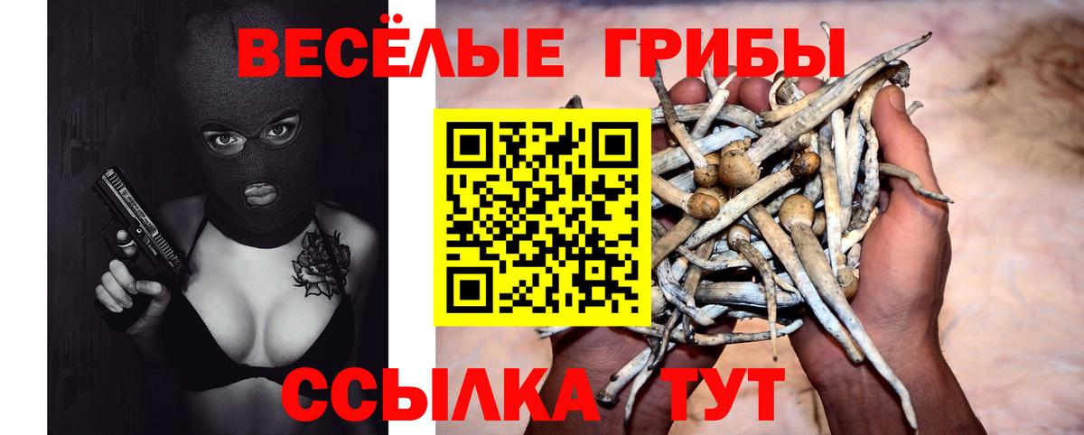 Галлюциногенные грибы мухоморы  Вход с VPN  Шали 