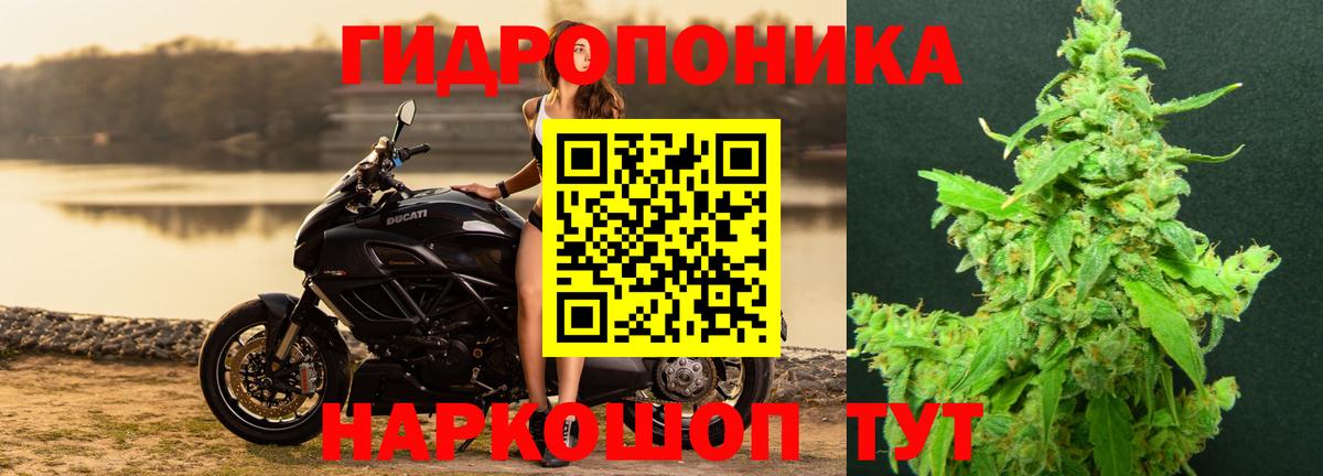 Бошки марихуана тримм Шали